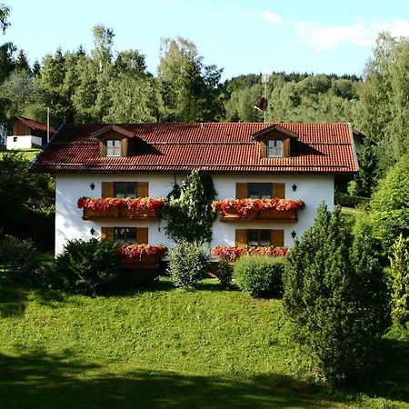 Ferienwohnungen Haus "Wildschuetz" Frauenau Bagian luar foto
