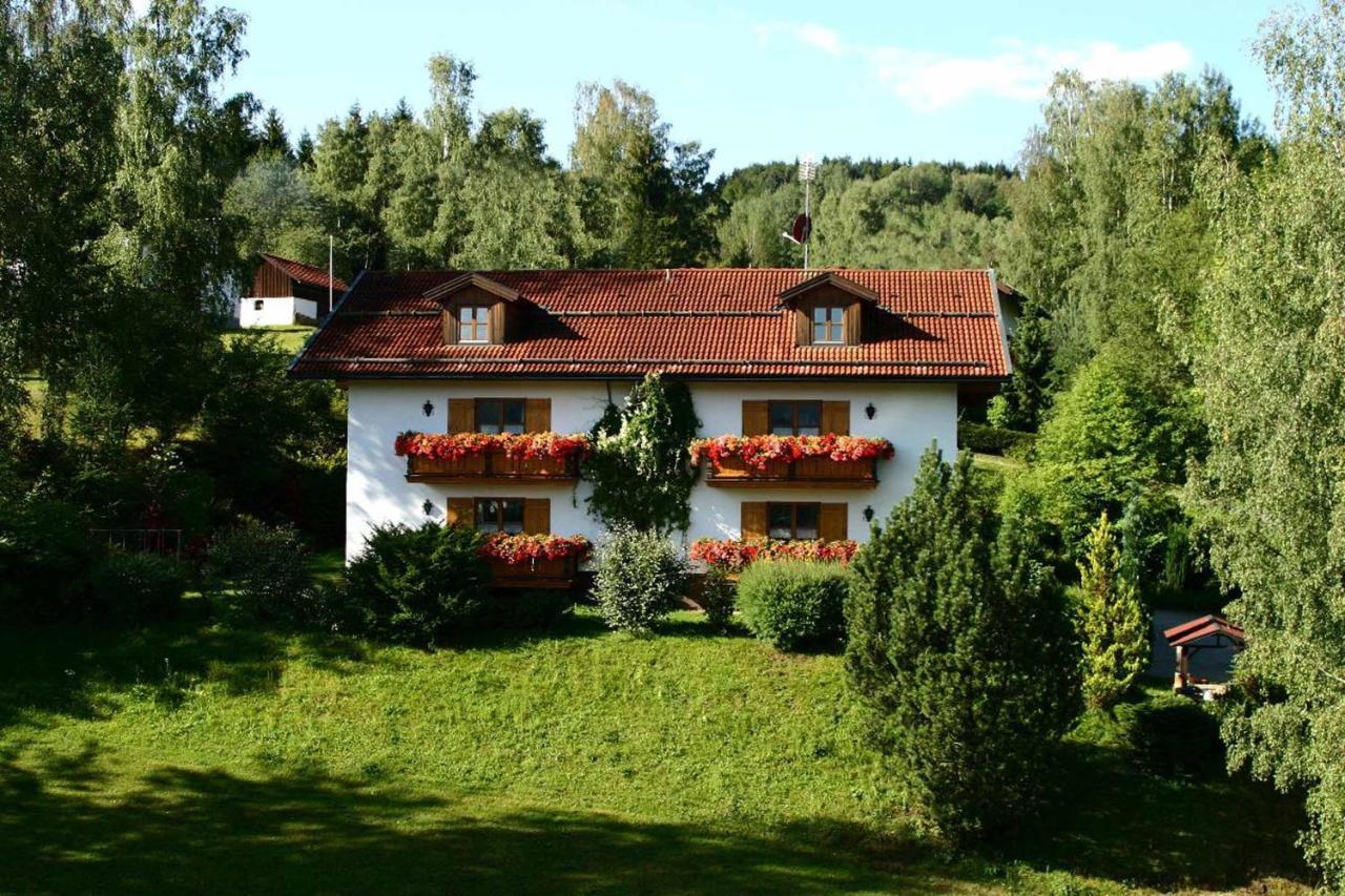 Ferienwohnungen Haus "Wildschuetz" Frauenau Bagian luar foto