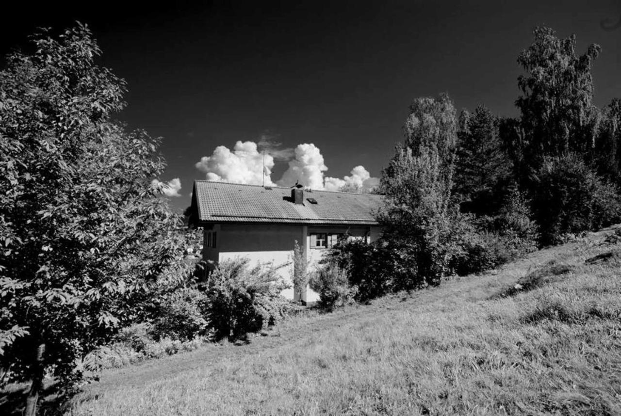Ferienwohnungen Haus "Wildschuetz" Frauenau Bagian luar foto